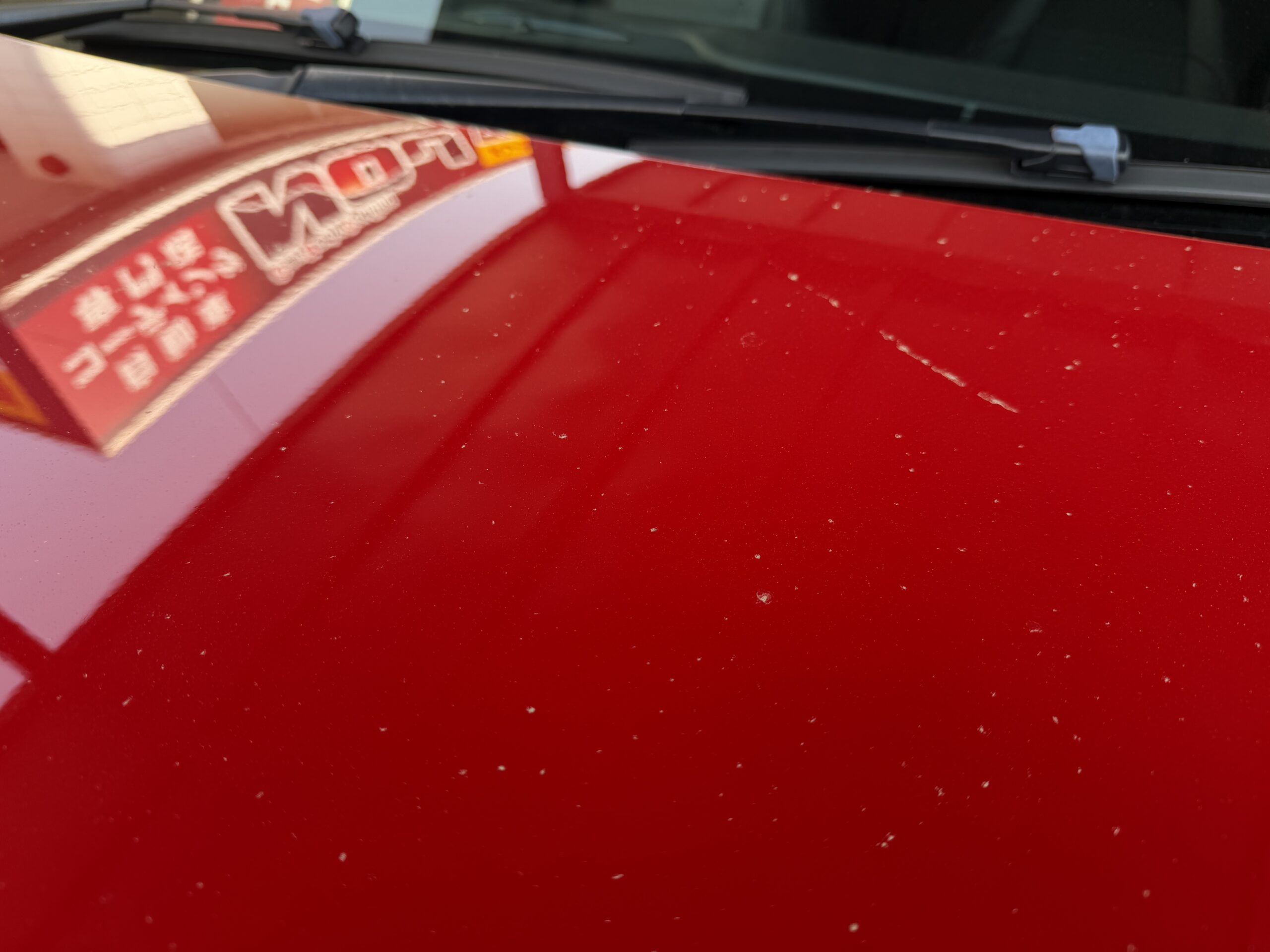 【花粉シーズンの正しい対策】放置はNG！早めの洗車とコーティングで塗装を守る方法